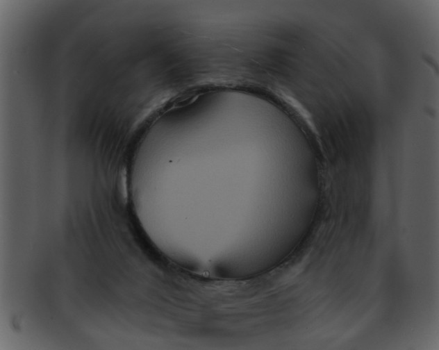 X0000093130020200710171317