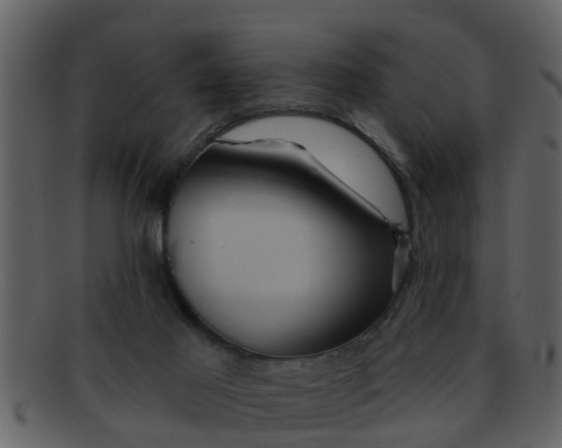 X0000093130021200710171317