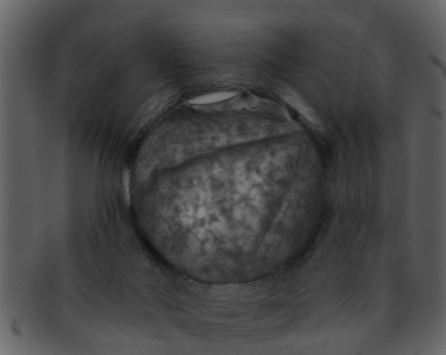 X0000093130022200710171317