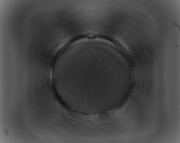 X0000093130024200710171317