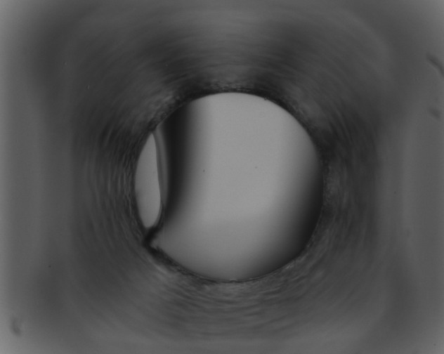 X0000093130025200710171317