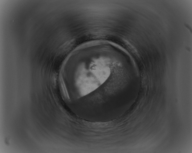 X0000093130026200710171317