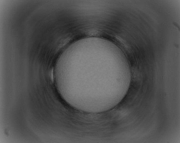 X0000093130028200710171317