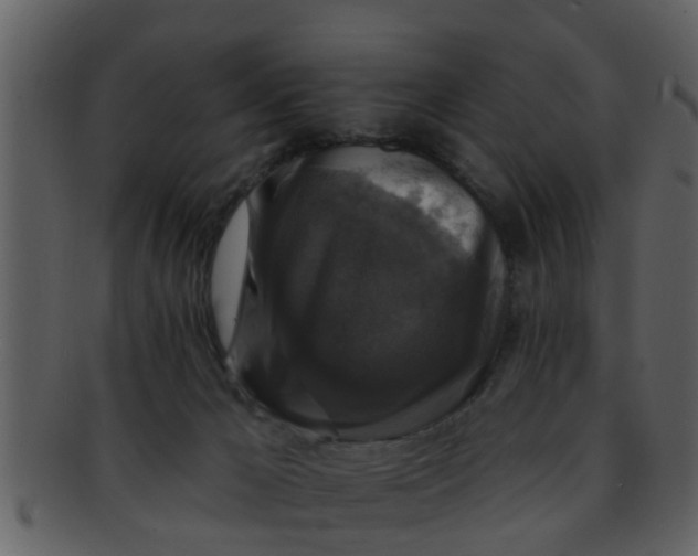 X0000093130029200710171317