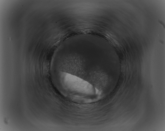 X0000093130030200710171317