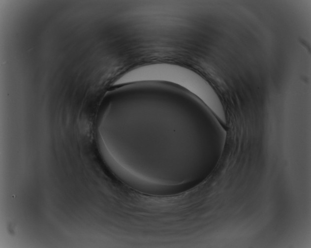 X0000093130031200710171317