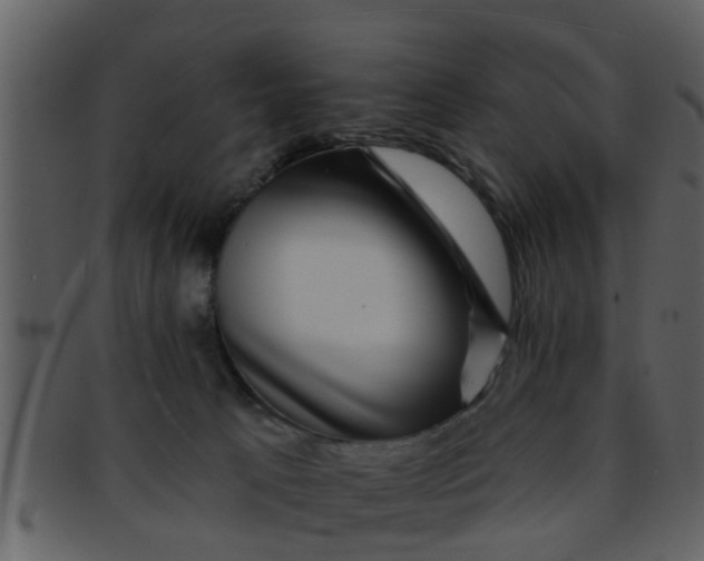 X0000093130033200710171317
