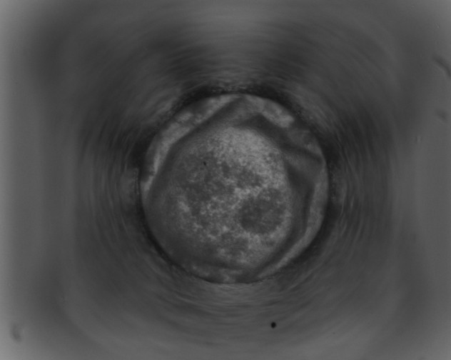 X0000093130034200710171317