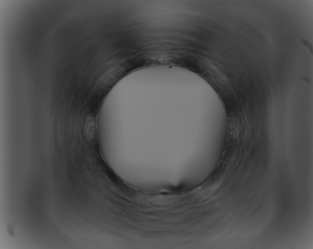X0000093130036200710171317