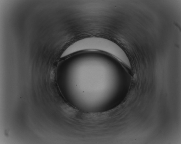 X0000093130037200710171317