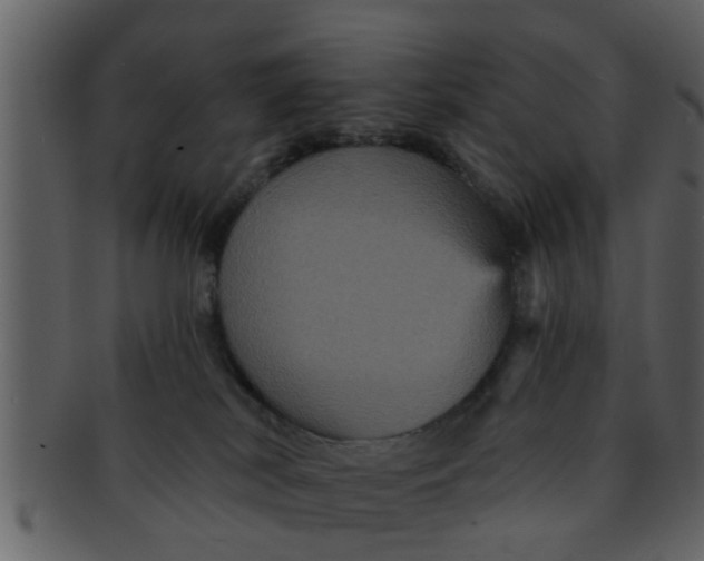 X0000093130038200710171317