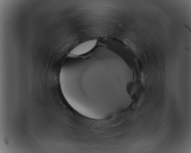 X0000093130039200710171317