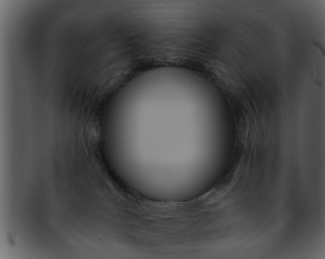 X0000093130040200710171317