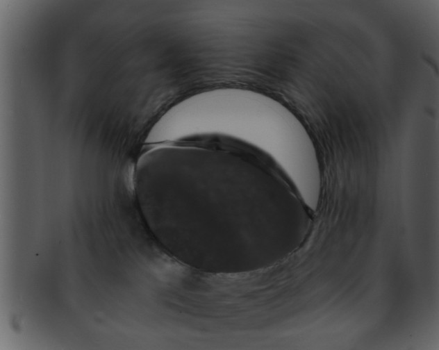 X0000093130041200710171317