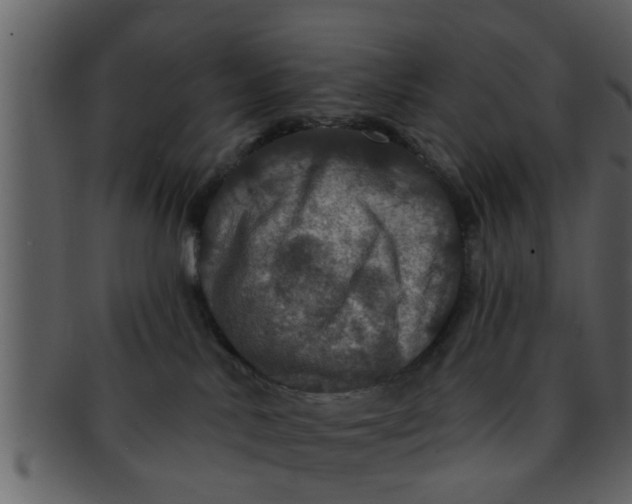 X0000093130042200710171317