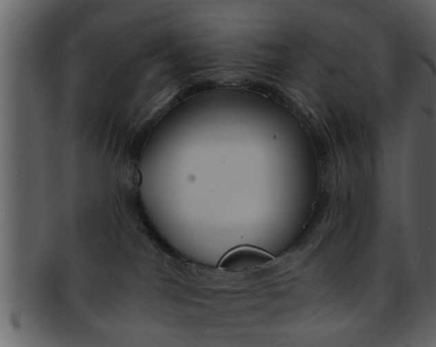 X0000093130044200710171317