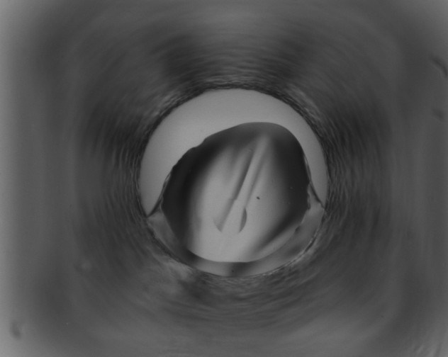 X0000093130045200710171317