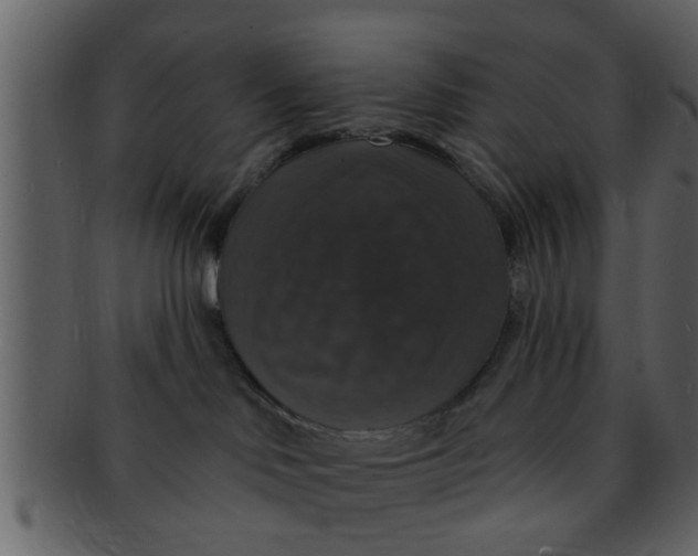 X0000093130046200710171317