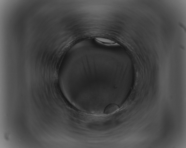 X0000093130048200710171317