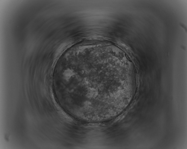X0000093130049200710171316