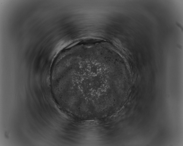X0000093130050200710171316