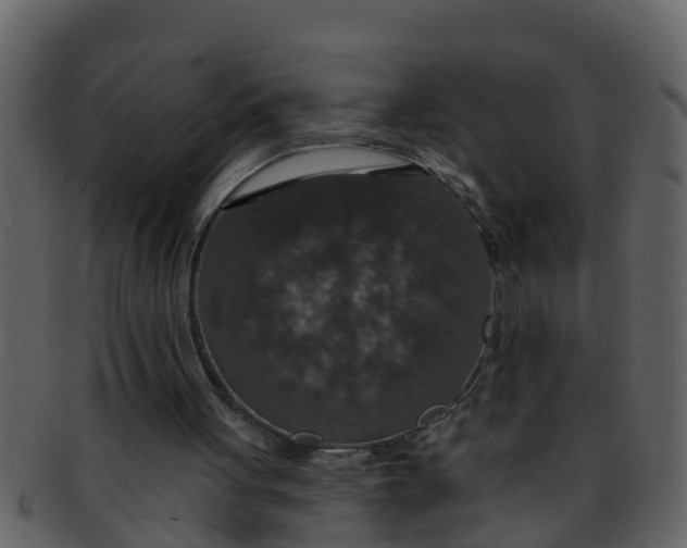 X0000093130051200710171316