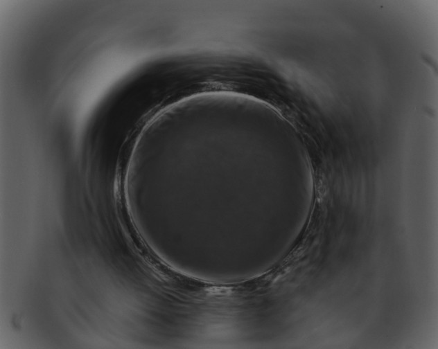 X0000093130052200710171316