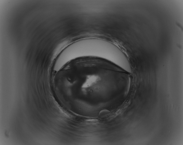 X0000093130053200710171316