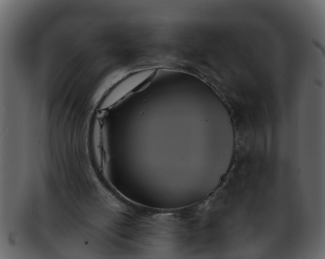 X0000093130054200710171316