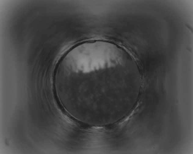 X0000093130055200710171316