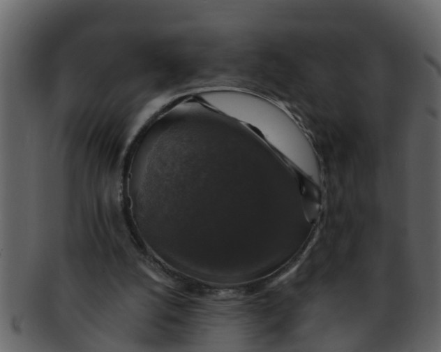 X0000093130056200710171316