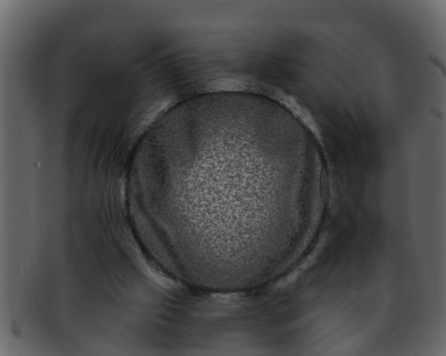 X0000093130057200710171316