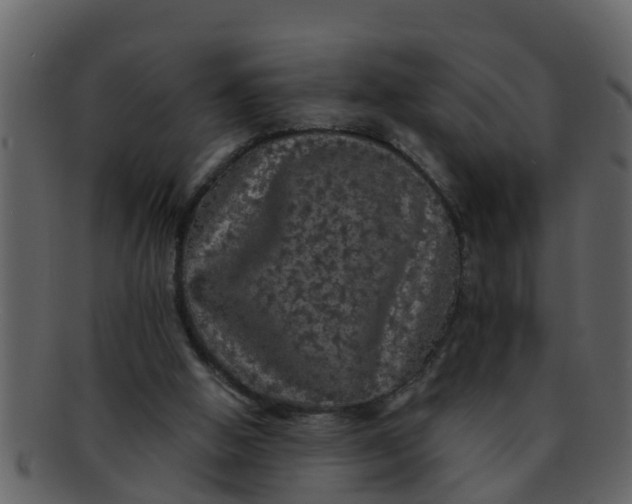 X0000093130058200710171316