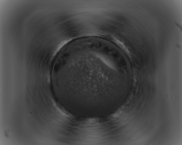 X0000093130060200710171316