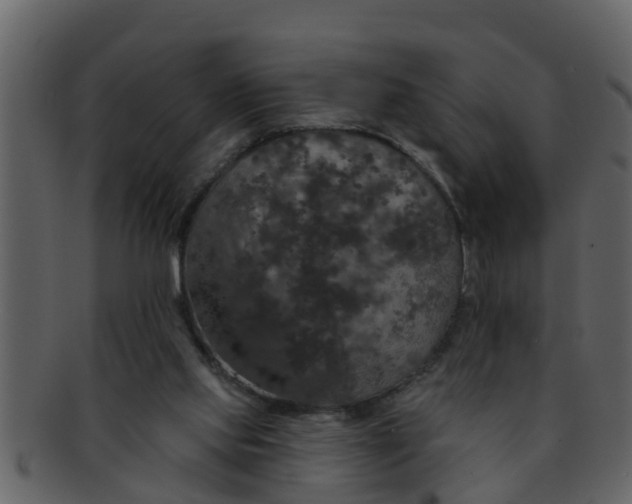 X0000093130061200710171316