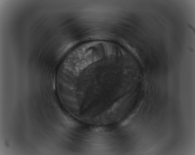X0000093130062200710171316