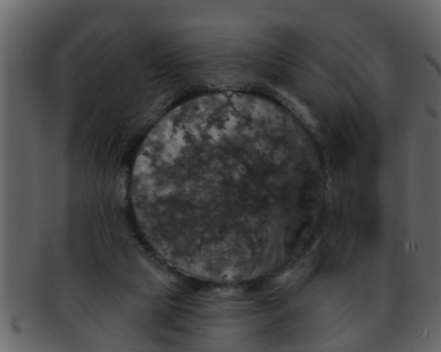 X0000093130065200710171316