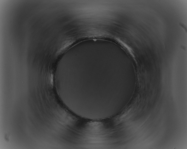 X0000093130067200710171316