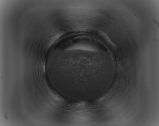 X0000093130068200710171316