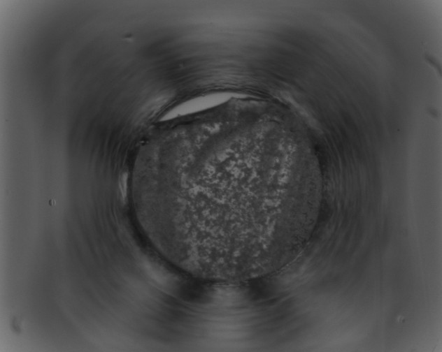 X0000093130070200710171316