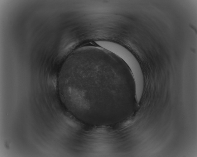 X0000093130072200710171316