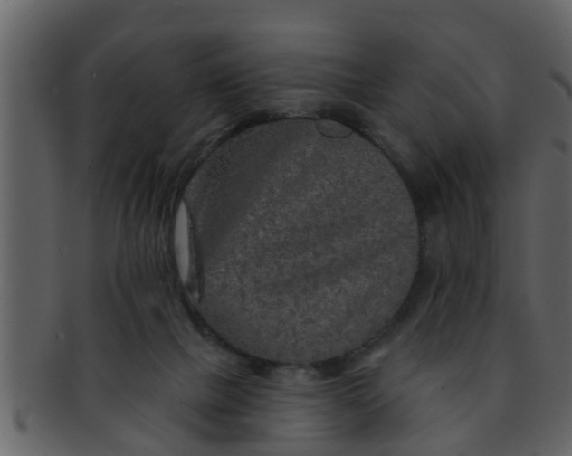 X0000093130073200710171316