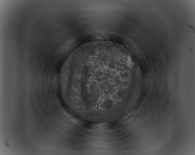 X0000093130078200710171316