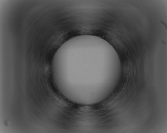 X0000093130079200710171316