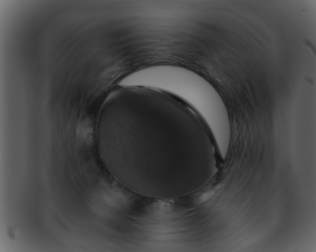 X0000093130080200710171316
