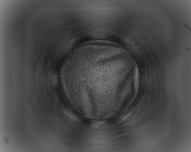 X0000093130081200710171316