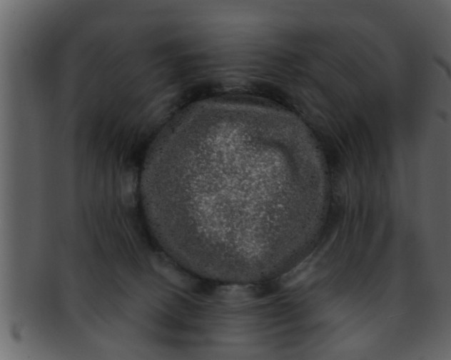 X0000093130082200710171316