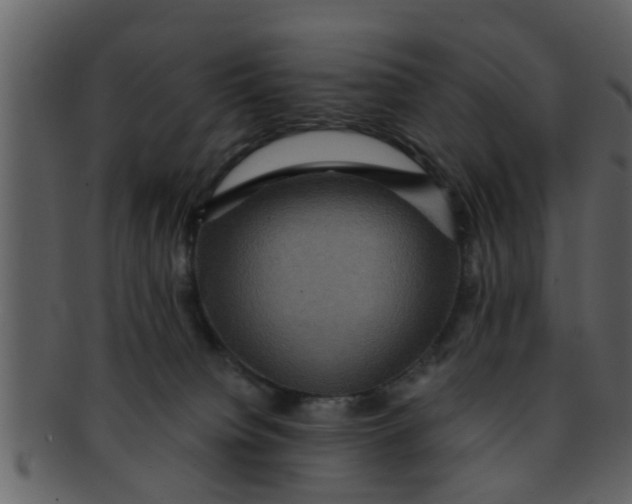 X0000093130084200710171316