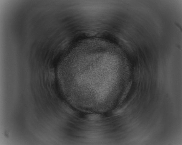 X0000093130085200710171316