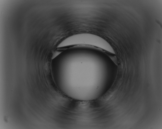 X0000093130088200710171316